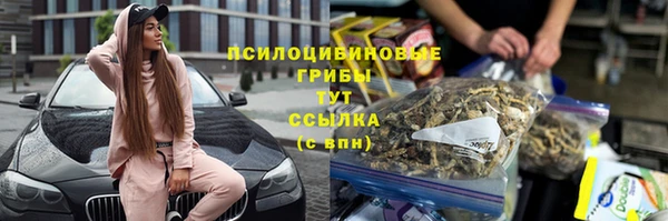 крисы Армянск