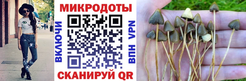 Галлюциногенные грибы прущие грибы Маркс