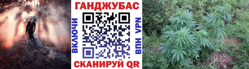 Бошки марихуана THC 21%  где можно купить наркотик  mega ONION  darknet какой сайт  Маркс 